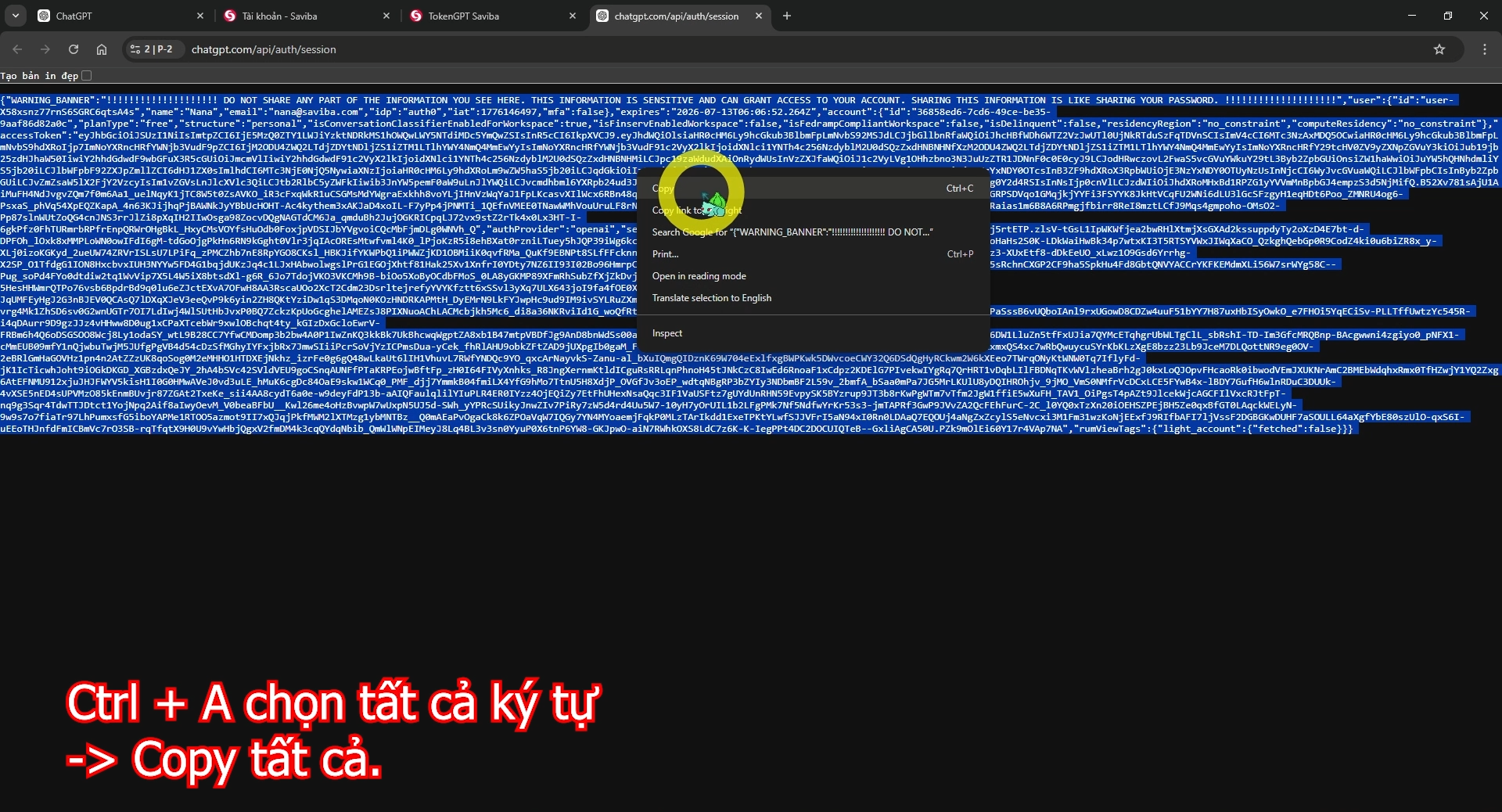 huong-dan-nang-cap-chat-gpt-plus-gia-sieu-re-chi-50k-3.png