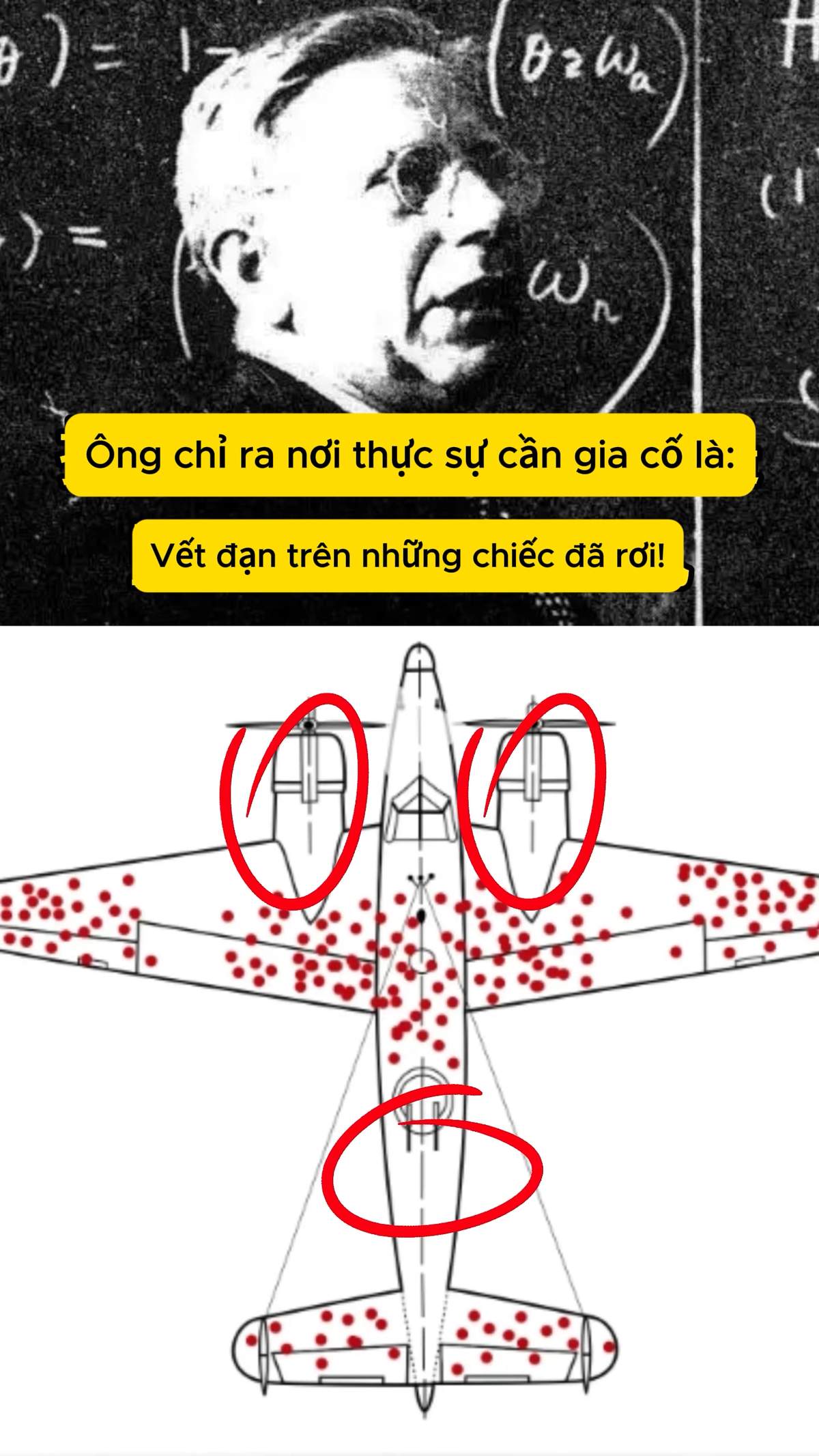 thien-kien-ke-song-sot-survivorship-bias-04.jpg